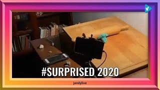 Top 10 #surprised Posts & Updates, Starring: jandylive