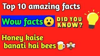Top 10 amazing facts Wow facts