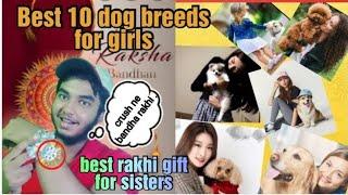 Top 10 dog breed for girls || Best rakhi gift for sisters || dog breed