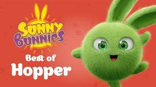 SUNNY BUNNIES - Hopper's Top 10 Mischievous Moments | Cartoons for Children