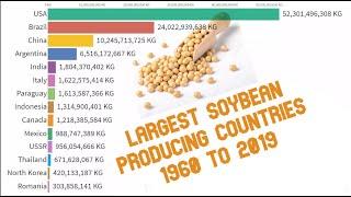 Largest SoyBean Producing Countries in the World 1960 - 2019