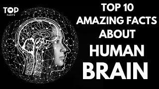 Top 10 Amazing Facts about the Human Brain | Top 10 Facts | #Brain