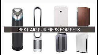 Top 10 Best Air Purifiers Under $100 In 2020