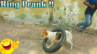 New Top 10 Ring Man vs Dog Prank in Dog so  Funny Video New  Prank Video  TRY NOT TO LAUGH #Just_96