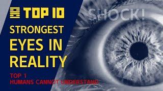 TOP 10 strongesteyes！Number one：Humans cannot understand the world in their eyes