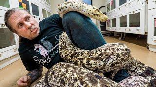 WORLDS LARGEST AND MOST COLORFUL SNAKES!! | BRIAN BARCZYK