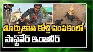 తూర్పుజాతి కోళ్ల పెంపకంలో సాఫ్ట్‌వేర్ ఇంజనీర్ | IT Engineer Leaves Job to Country Chicken Farm