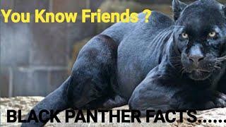 Facts about Black Panther. Hi Tintin. Educational Video For Children.