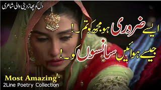 Aise Zarori Ho Mujko Tum!!|Best 2 Line Urdu Poetry Collection|Top 2 Line Poetry|Sad Urdu New Poetry