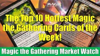 MTG Market Watch Top 10 Hottest Cards of the Week: Auntie's Hovel and More