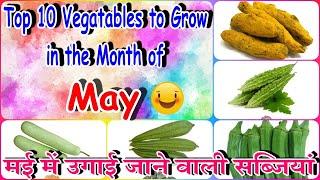 Top 10 Vegatables to Grow in the Month of May| मई में उगाई जाने वाली सब्जियां Hindi/Urdu | V179