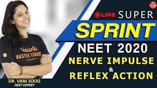 Nerve Impulse and Reflex Action Super Sprint 2020 | AIIMS NEET 2020 | Vani Ma'am | Vedantu VBiotonic