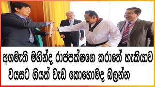 sri lanka Prime Minister Mahinda Rajapaksa's karate capability