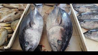 15 LBS BDT 15,000 Tuna Fish Fillet by 2 Minute।Super Fast Skilled Fish Fillet in World।Fish Cutting