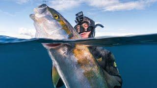 Epic Deep Water Spearfishing on a Camping Trip