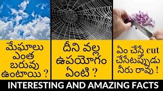 Top 10 Interesting and Unknown facts|Amazing facts in Telugu|Facts in Telugu