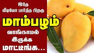 மாம்பழம் கண்டிப்பாக சாப்பிடனும்..ஏன்? தெரியுமா? | Top 10 Health Benefits of Mango Fruit |Health Tips