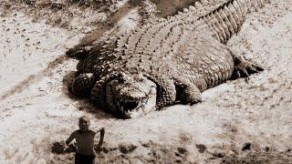 TOP 10 LARGEST CROCODILES In The World