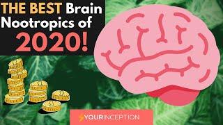 Which Are The BEST Brain Nootropics of 2020? GET On The TOP!