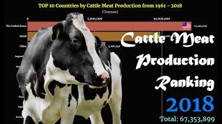 Cattle Meat Production Ranking | TOP 10 Country from 1961 to 2018