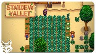 Stardew Valley Min/Max Beach Farm | IS IT POSSIBLE? | Let's Play Stardew Valley Patch 1.5 Ep 06