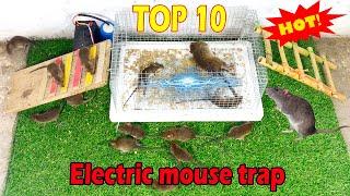 Top 10 Electric Mouse Trap Water 