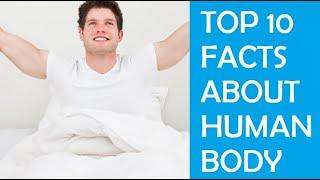 Top 10 shocking facts about human body