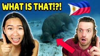 TOP 10 PHILIPPINES 