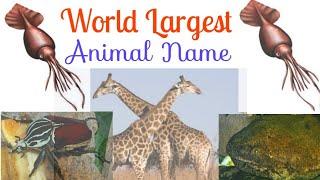 World top 10 biggest Animal name with picture