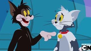 Best Animated Movie Scenes - Tom and Jerry Tales Episode 163 Online