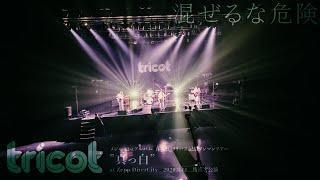 tricot「混ぜるな危険」（無観客公演）at Zepp DiverCity／2020.3.14