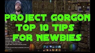 Project Gorgon: Top 10 Beginner Tips !