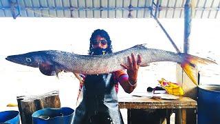 Cutting Two Huge Barakuda Fish  | Fish Cutting Skills Sri Lanka