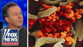 Gutfeld on the media reaction to the coronavirus