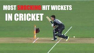 TOP 10 Most Shocking Hit Wickets in Cricket History