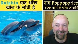 Dolphin एक आँख खोल के सोती है Top 10 facts in hindi amazing facts.