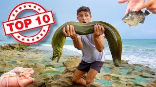 Top 10 Best Fish Moments From 2021