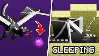 10 Ender Dragon Secrets You Didn't Know in Minecraft 1.16!