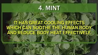 Health Tips: Top 10 best foods to reduce body heat