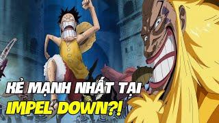 Top 10 Hải Tặc Mạnh Nhất Từng Bị Giam Cầm Tại Impel Down I Phân Tích One Piece