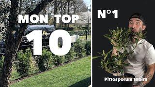 #LTUCB 4 : Mon TOP 10 des plantes persistantes de HAIE à utiliser en 2021 !