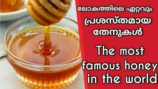 The most famous honey in the world | ലോകത്തിലെ പ്രശസ്തമായ തേൻ| TOP 10 OF EVERYTHING | Red Creations