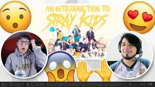 an introduction to: stray kids (2020 edition) | NSD REACTION