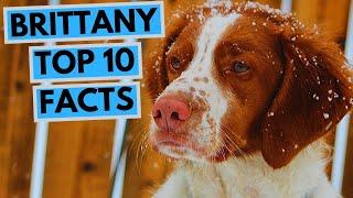 Brittany - TOP 10 Interesting Facts