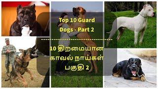 Top 10 Guard Dogs - Part 2 | 10 திறமையான காவல் நாய்கள் பகுதி 2