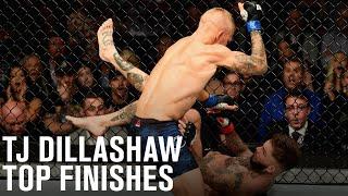 Top Finishes: TJ Dillashaw