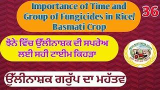 Rice crop growth stages and fungicide spray (ਝੋਨੇ ਵਿੱਚ ਉੱਲੀਨਾਸ਼ਕ ਦਾ ਕੰਮ ਕਰਨ ਦਾ ਤਰੀਕਾ ਤੇ ਸਪਰੇਅ ਦਾ ਸਮਾ)