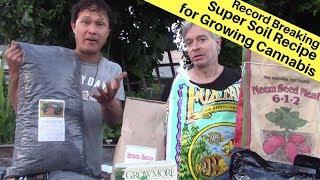 How to Make a Record Breaking  Super Soil Recipe Mix for Living Soil + Top Dress Revealed