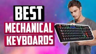 Best Mechanical Keyboards in 2020 [Top 5 Budget & High-End Picks]