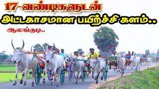 17 ஜோடிகள் அலங்குடி பரபரபன பந்தய பயிற்சி களம் puduvakottai panthayam puthukottai rekla video